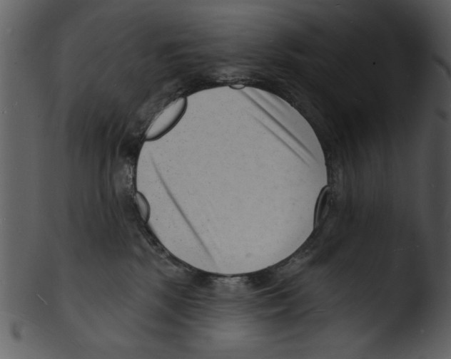 X0000103240281200809251335