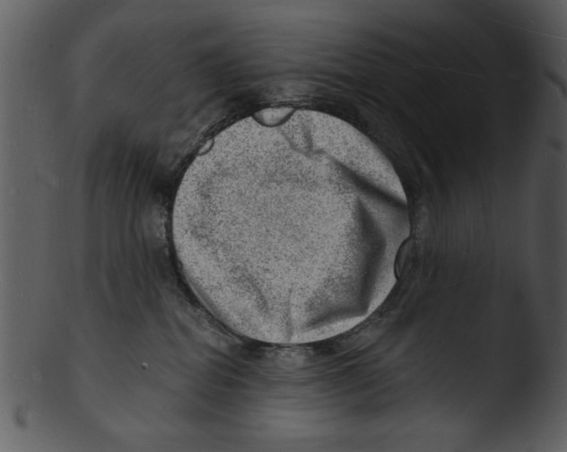 X0000103240282200809251335