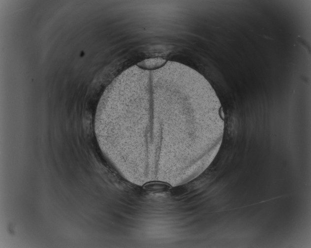 X0000103240283200809251335