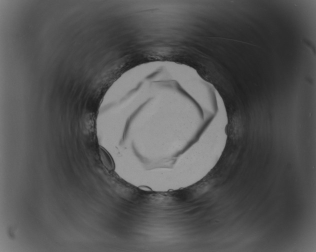 X0000103240284200809251335