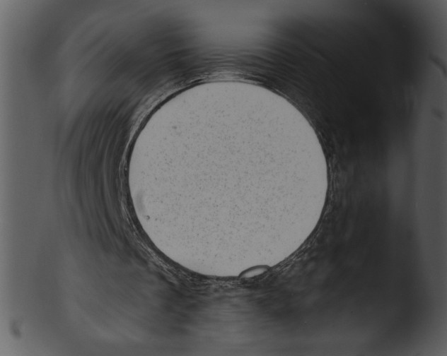 X0000103240289200809251334