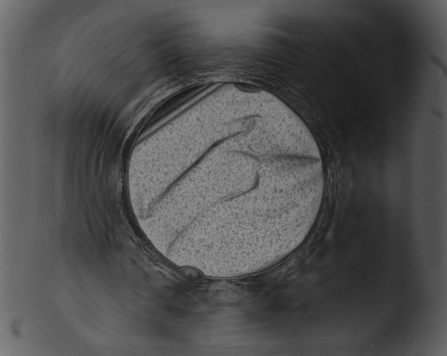 X0000103240290200809251334