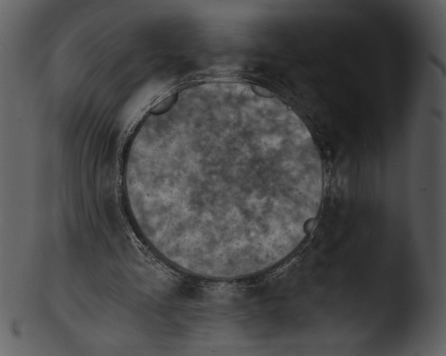 X0000103240293200809251334