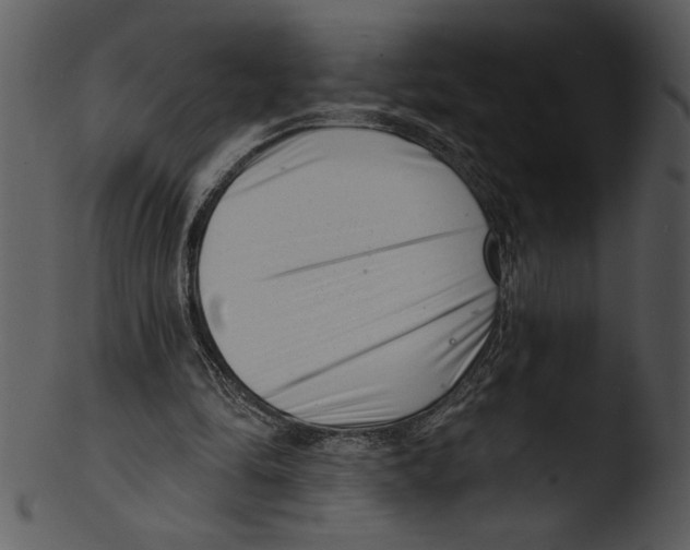 X0000103240294200809251334