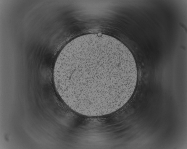 X0000103240297200809251334