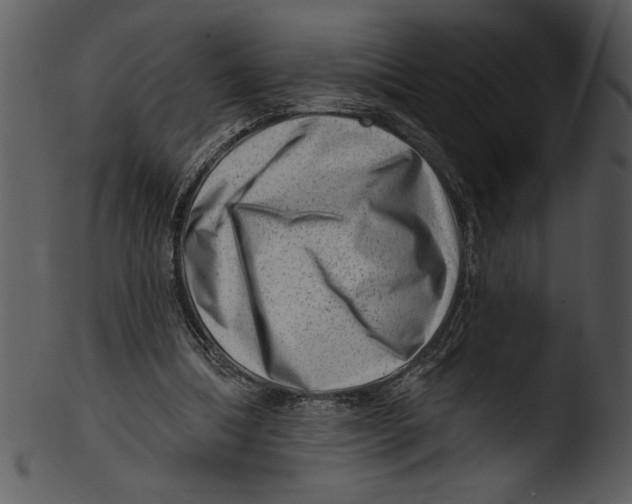 X0000103240298200809251334