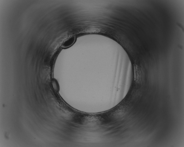 X0000103240300200809251334