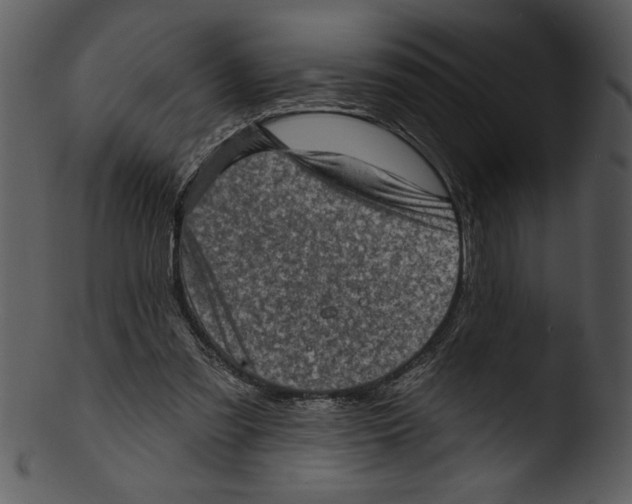 X0000103240301200809251334