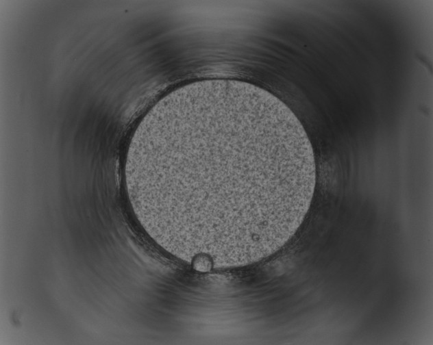 X0000103240302200809251334