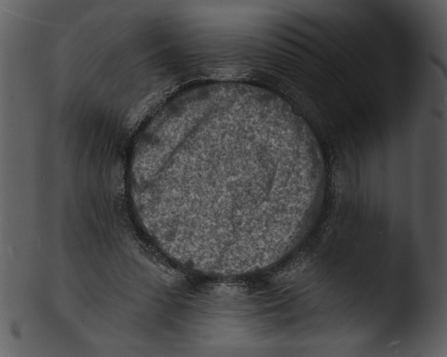 X0000103240303200809251334