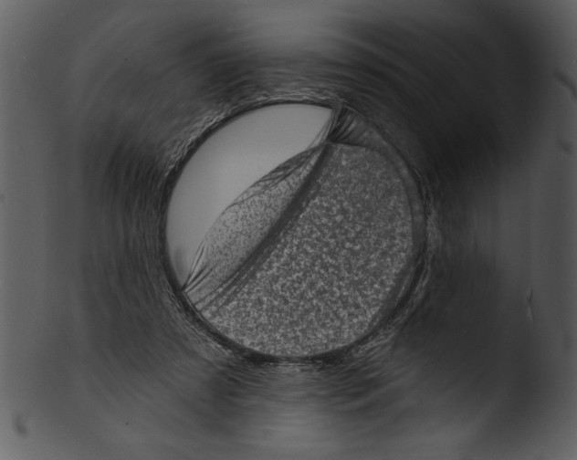 X0000103240305200809251334