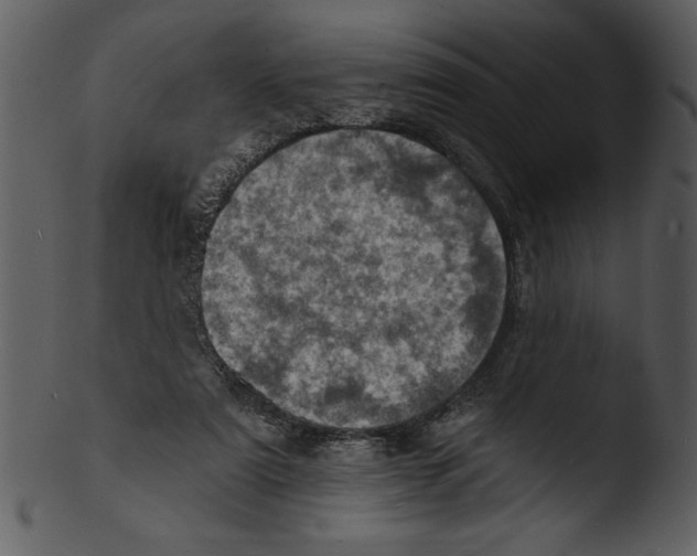 X0000103240307200809251334