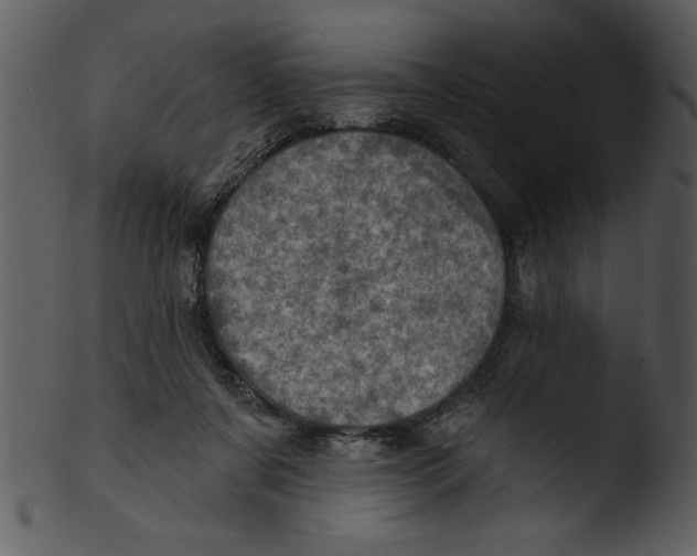 X0000103240311200809251334