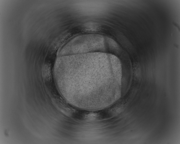 X0000103240312200809251334