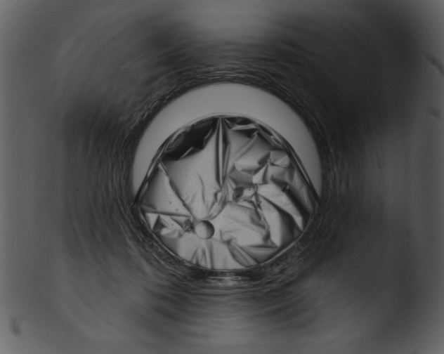 X0000103240316200809251333