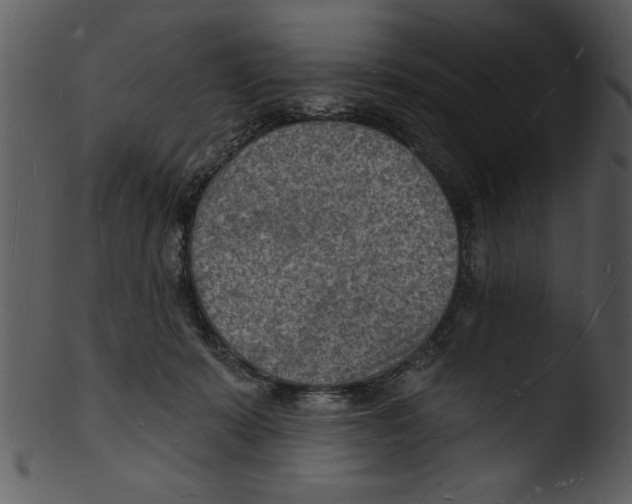 X0000103240319200809251333