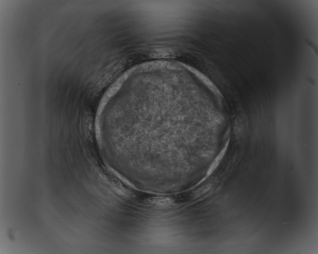 X0000103240322200809251333