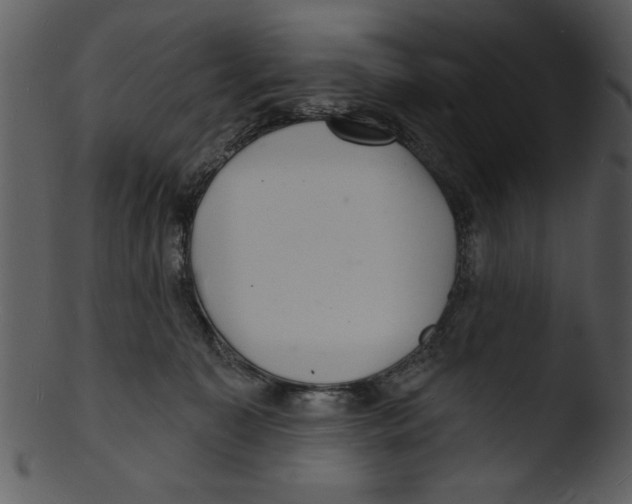 X0000103240323200809251333