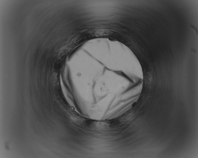 X0000103240327200809251333