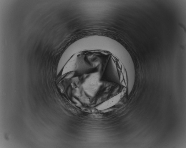 X0000103240328200809251333