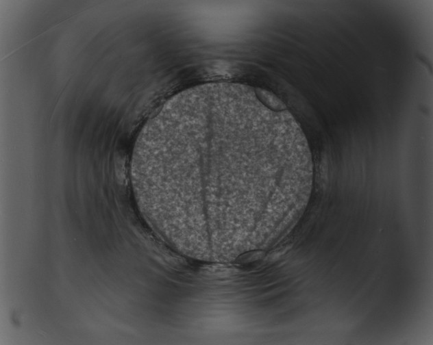 X0000103240331200809251333