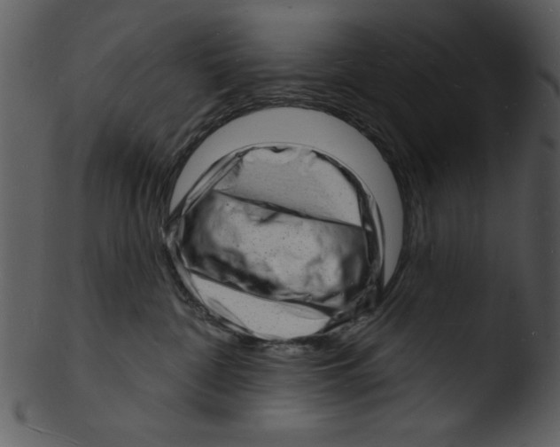 X0000103240332200809251333