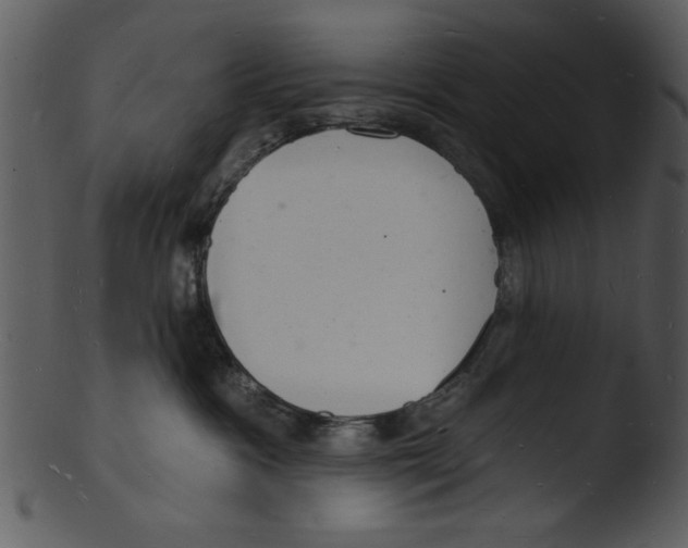 X0000103240333200809251333