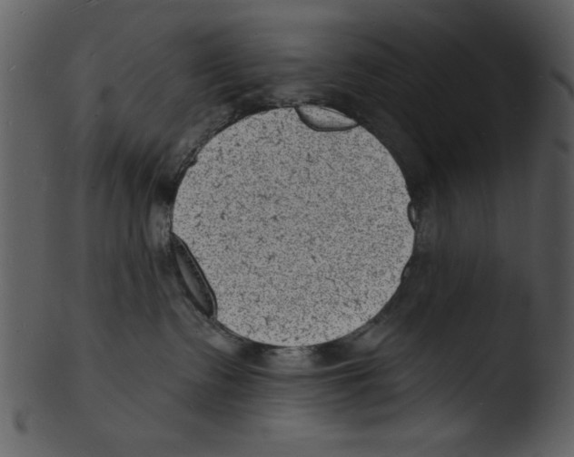 X0000103240335200809251333