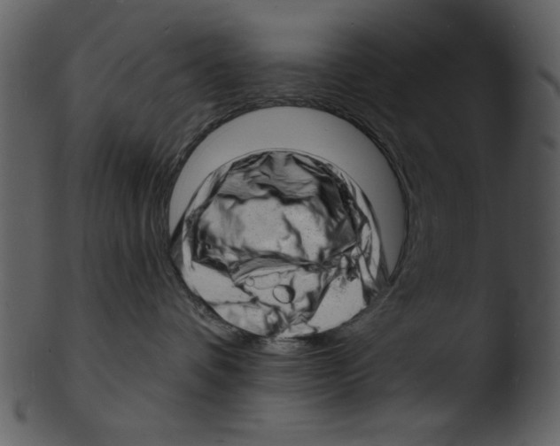 X0000103240336200809251333