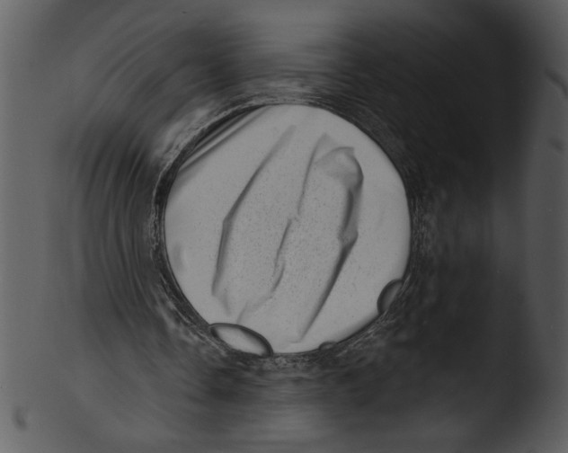 X0000103240338200809251333