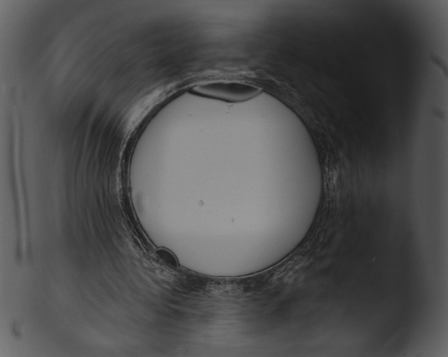 X0000103240340200809251333