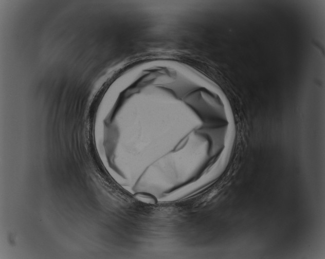 X0000103240342200809251333