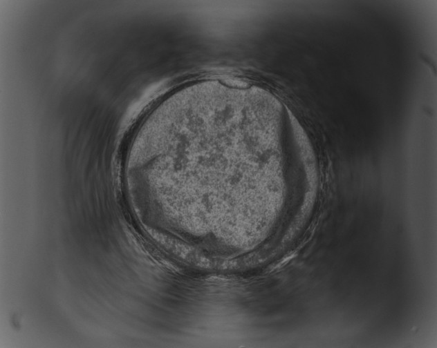 X0000103240343200809251333