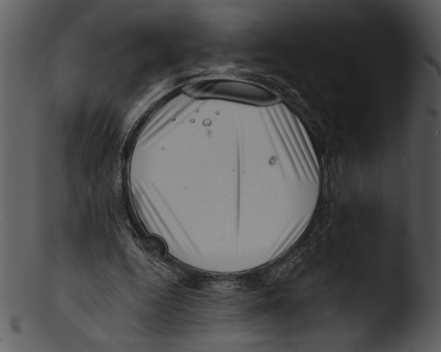 X0000103240344200809251333