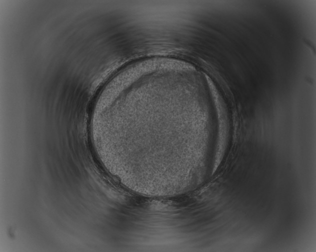 X0000103240346200809251333