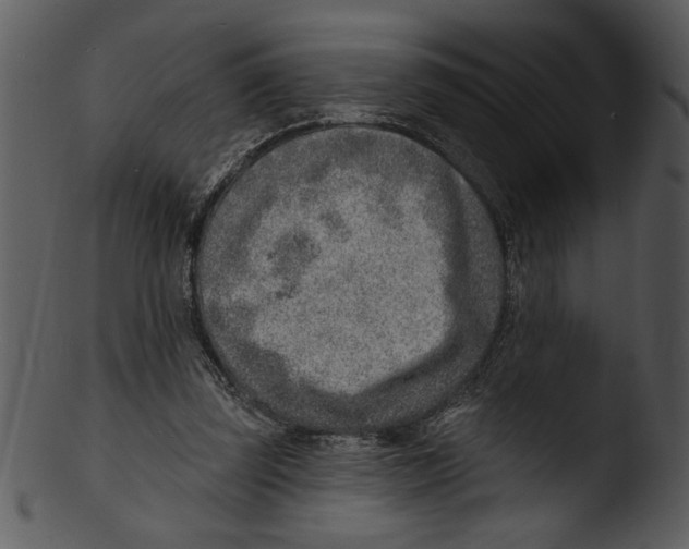 X0000103240347200809251333