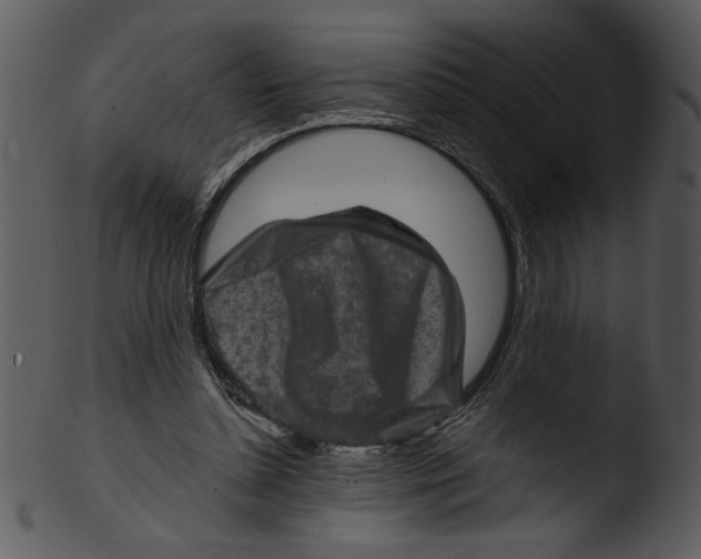 X0000103240348200809251333