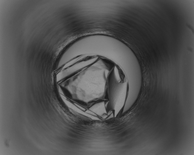 X0000103240350200809251333