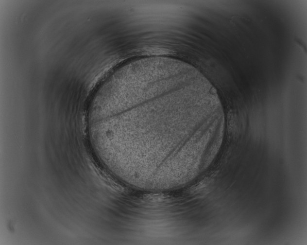 X0000103240351200809251333