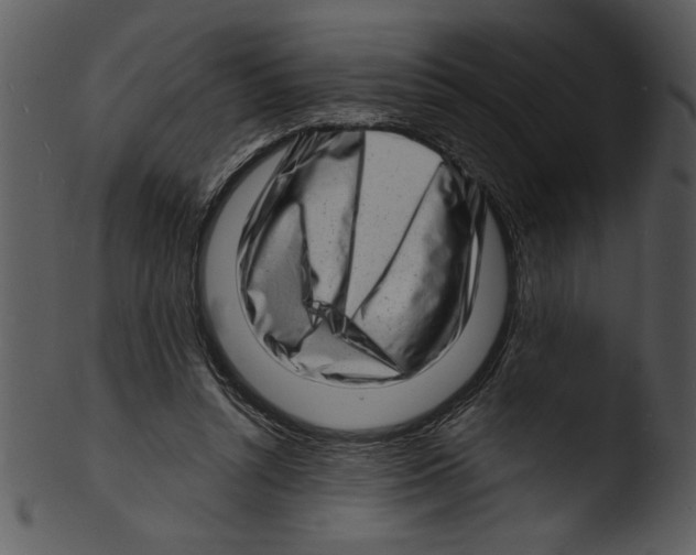 X0000103240352200809251333