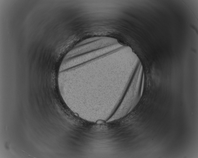 X0000103240354200809251333