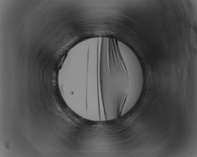 X0000103240356200809251333