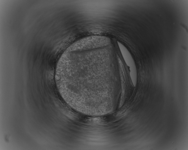 X0000103240365200809251333