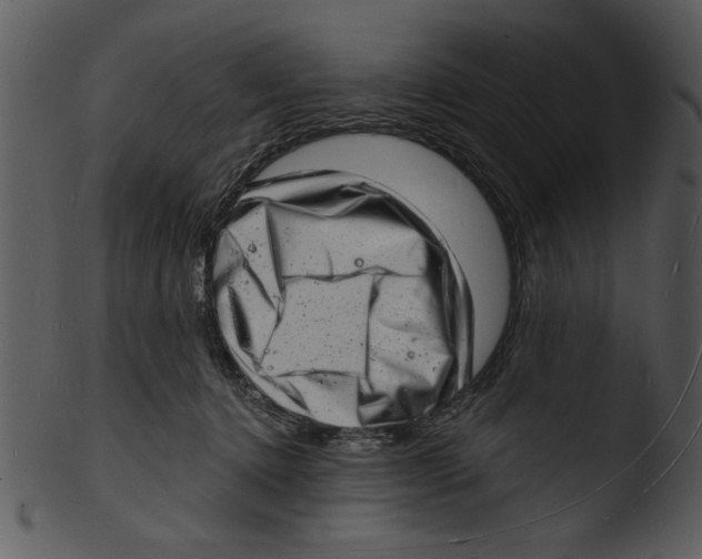 X0000103240368200809251333