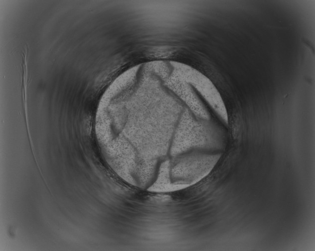 X0000103240374200809251333