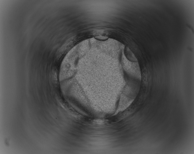 X0000103240375200809251333