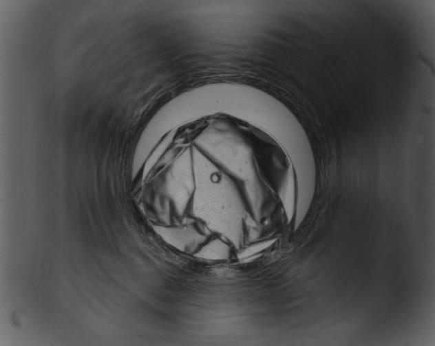 X0000103240376200809251333