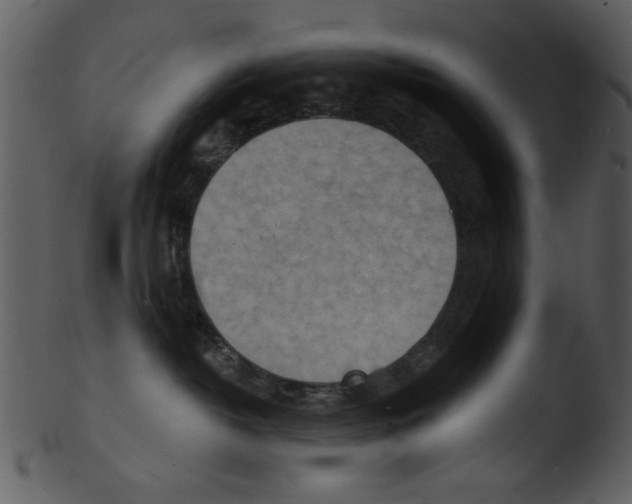 X0000103240382200809251333