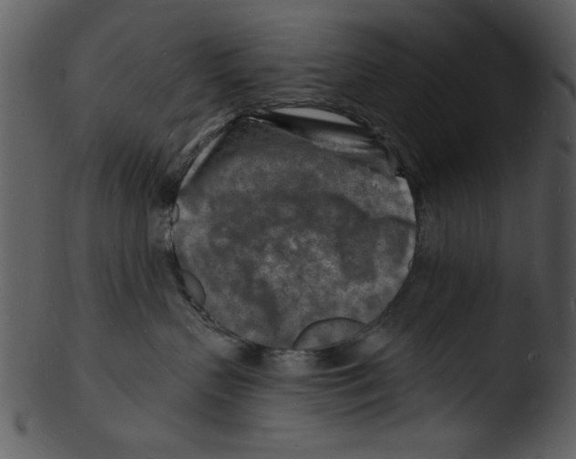 X0000103240383200809251333