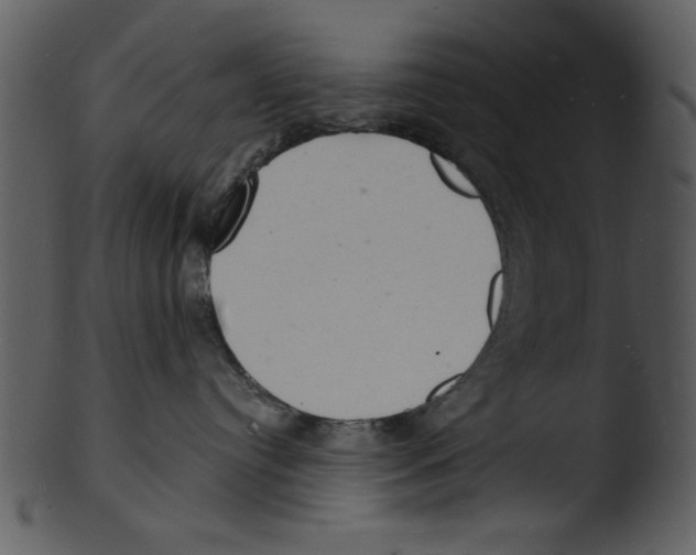 X0000103240384200809251333